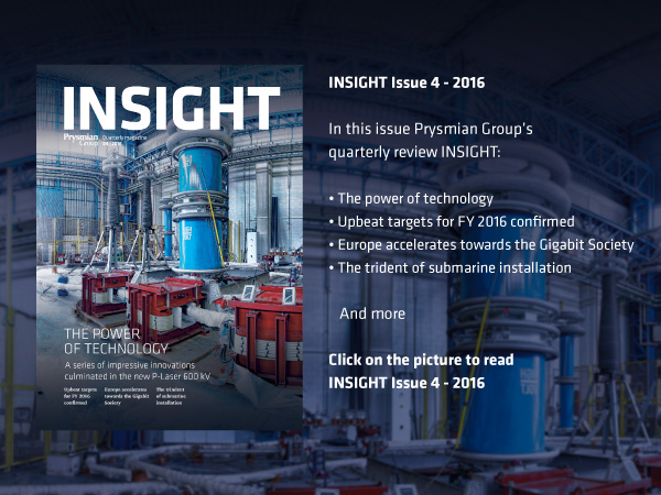 insight-4-16-feature-link